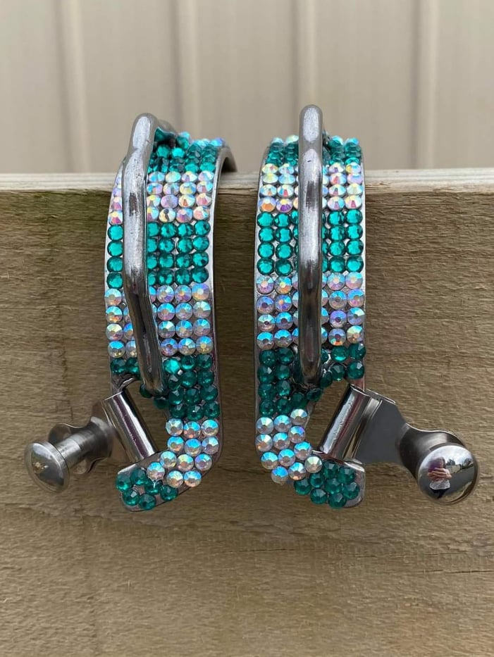 Spurs - Bumber Spur with Teal Crystals
