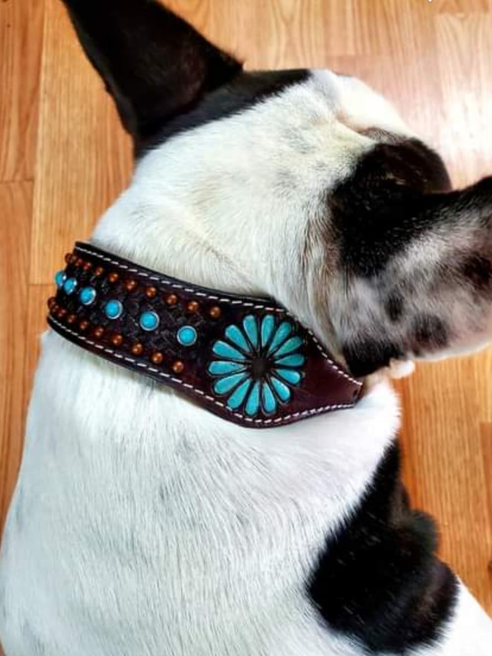 Couture ™ Genuine leather dog collar with a beaded inlay